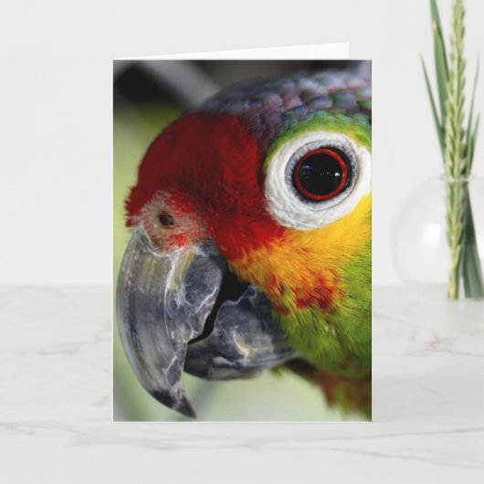 ワカサギのカード カード (正面)