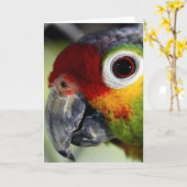 ワカサギのカード カード (黄色い花)