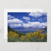 ワカチプ湖と驚くべきクイーンズタウン ポストカード (正面/裏面)