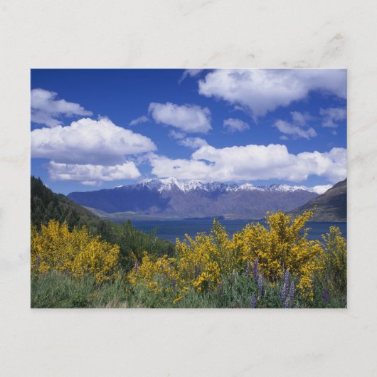 ワカチプ湖と驚くべきクイーンズタウン ポストカード (正面)