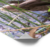 ワキを飾るカモ ポスター (角)