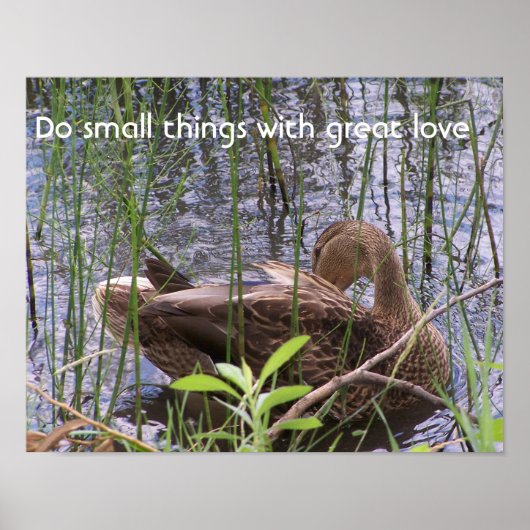 ワキを飾るカモ ポスター (正面)