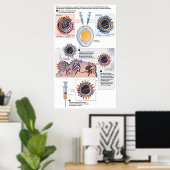 ワクチンの遺伝子再分類の図 ポスター (ホームオフィス)