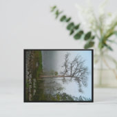 ワクルラカウンティフロリダポストカード ポストカード (スタンド正面)