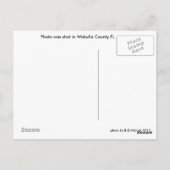 ワクルラカウンティフロリダポストカード ポストカード (裏面)