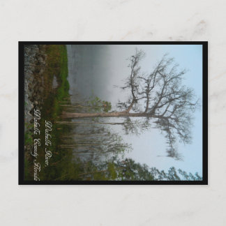 ワクルラカウンティフロリダポストカード ポストカード