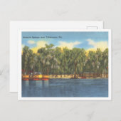 ワクルラ春フロリダヴィンテージwithボート ポストカード (正面/裏面)