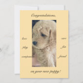 ワクワク、喜び＆楽しさ、新しい子犬、フラット カード (正面)