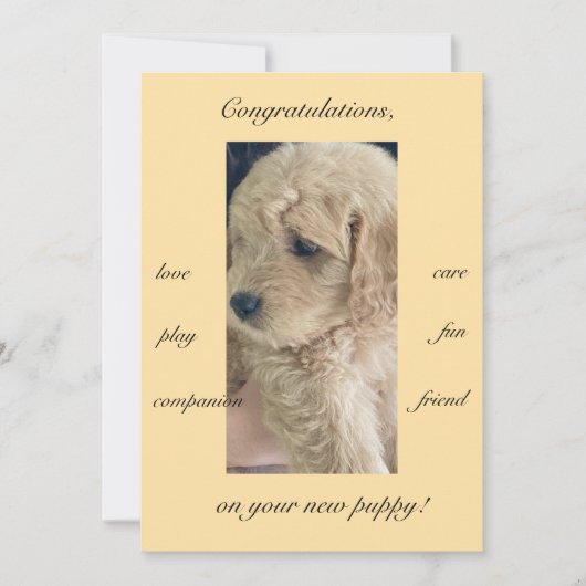 ワクワク、喜び&楽しさ、新しい子犬、フラット カード (正面)