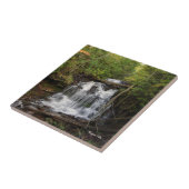 ワグナー秋タイル タイル (側面)