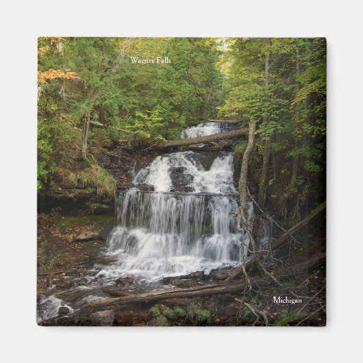 ワグナー秋磁石 マグネット (正面)