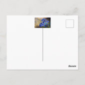 ワゴマ(忘れな草)金箔アクセント付き ポストカード (裏面)