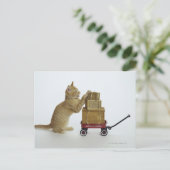 ワゴンとボックス付き猫 ポストカード (スタンド正面)