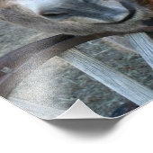 ワゴンホイール8x10の上にバー フォトプリント            (角)