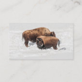 ワゴン，アウトハウス，納屋，アメリカバイソン，バッファロー 名刺 (裏面)