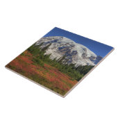 ワサンダ·レイニエ山国立公園パラダイス·バレー タイル (側面)