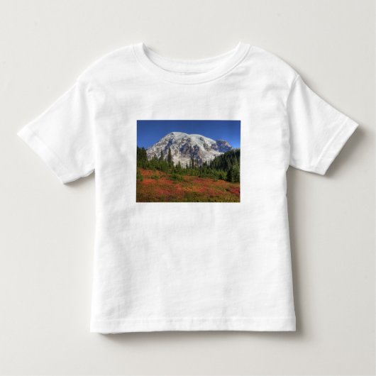 ワサンダ·レイニエ山国立公園パラダイス·バレー トドラーTシャツ (正面)