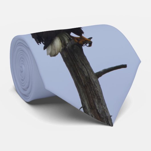 ワシが付いている首のタイ ネクタイ (ロール)