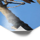 ワシが君を見ている フォトプリント            (角)