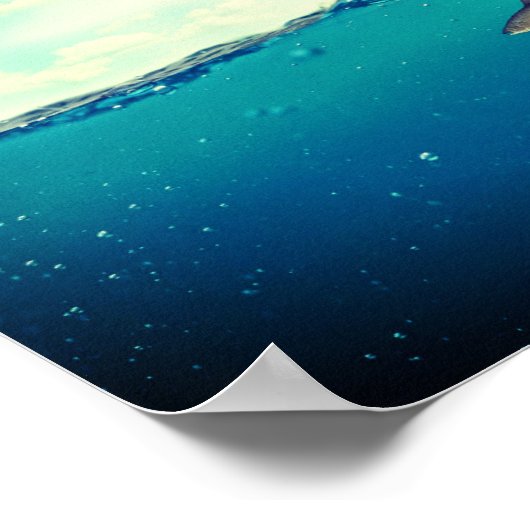 ワシが魚を捕まえる ポスター (角)