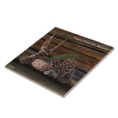 ワシとの静物生活 タイル (側面)