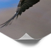 ワシと七面鳥の舞い ポスター (角)