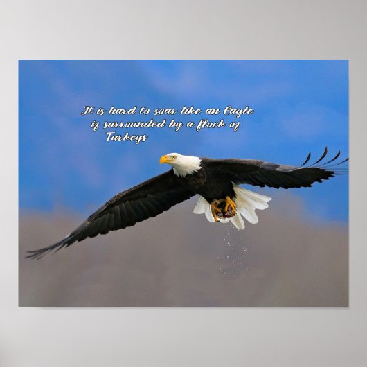 ワシと七面鳥の舞い ポスター (正面)