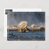 ワシと荒水 ポストカード (正面/裏面)