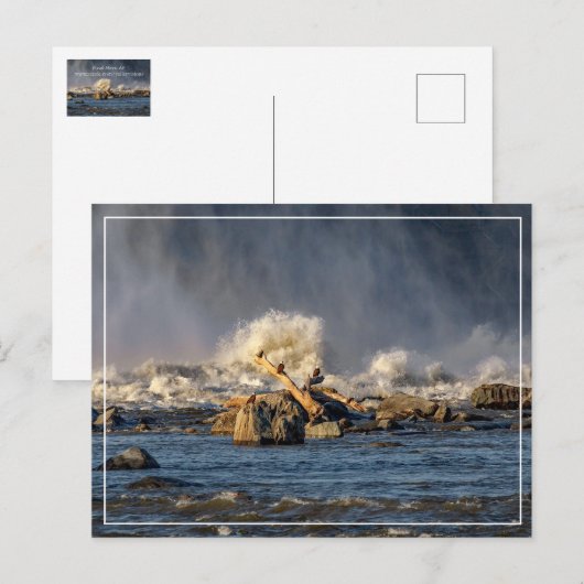 ワシと荒水 ポストカード (正面/裏面)