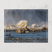 ワシと荒水 ポストカード (正面)