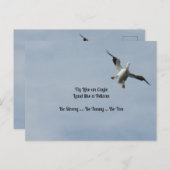 ワシのように飛ぶ、ペリカンのように陸地おもしろい- ポストカード (正面/裏面)