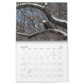 ワシのカレンダーの良い年 カレンダー (1月 2027)