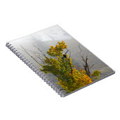 ワシのノート ノートブック (右側)