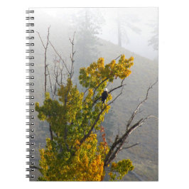 ワシのノート ノートブック