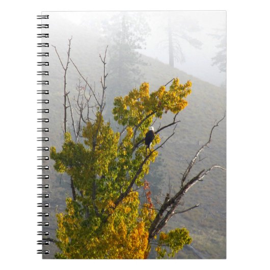 ワシのノート ノートブック (正面)