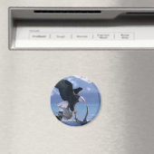 ワシのフライ2 マグネット (インサイチュ (食洗機))