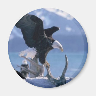 ワシのフライ2 マグネット