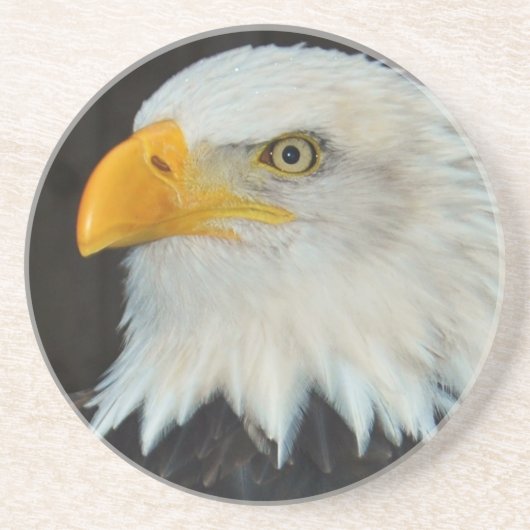 ワシのヘッドコースター コースター (正面)