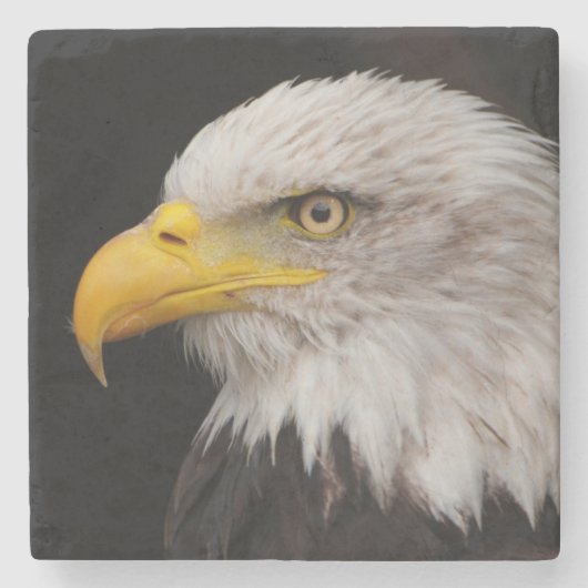 ワシのポートレート ストーンコースター (正面)