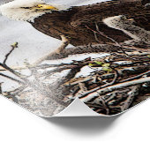 ワシの付いた大人のハゲのワシ フォトプリント (角)