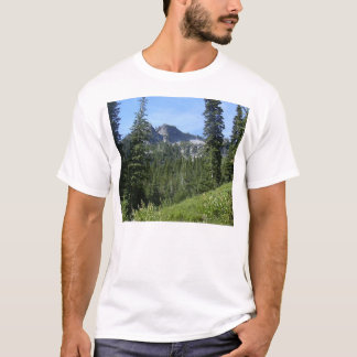 ワシの帽子の荒野04 Tシャツ