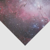 ワシの星雲 薄葉紙 (詳細)