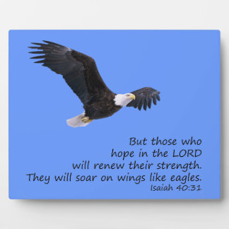 ワシの歯垢のように羽に フォトプラーク