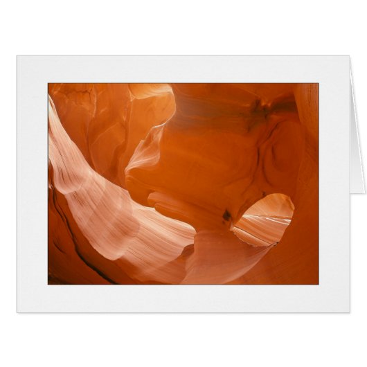 "ワシの目" (正面横)