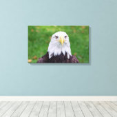 ワシの目 キャンバスプリント (インサイチュ (ウッドフロア))