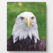 ワシの目 フォトプラーク (正面)