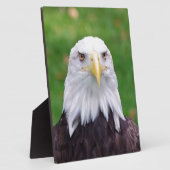 ワシの目 フォトプラーク (側面)