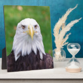 ワシの目 フォトプラーク (側面)