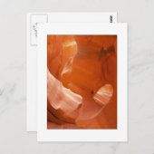 『ワシの目』 ポストカード (正面/裏面)