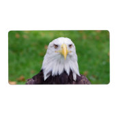 ワシの目 ラベル (正面)